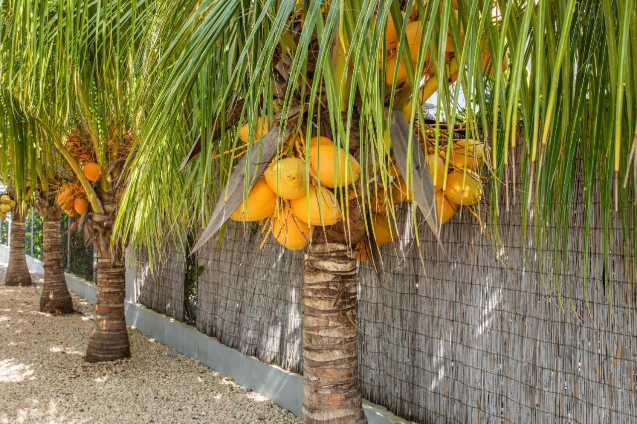 Paradise Apartments - Curacao Fontein Exteriér fotografie