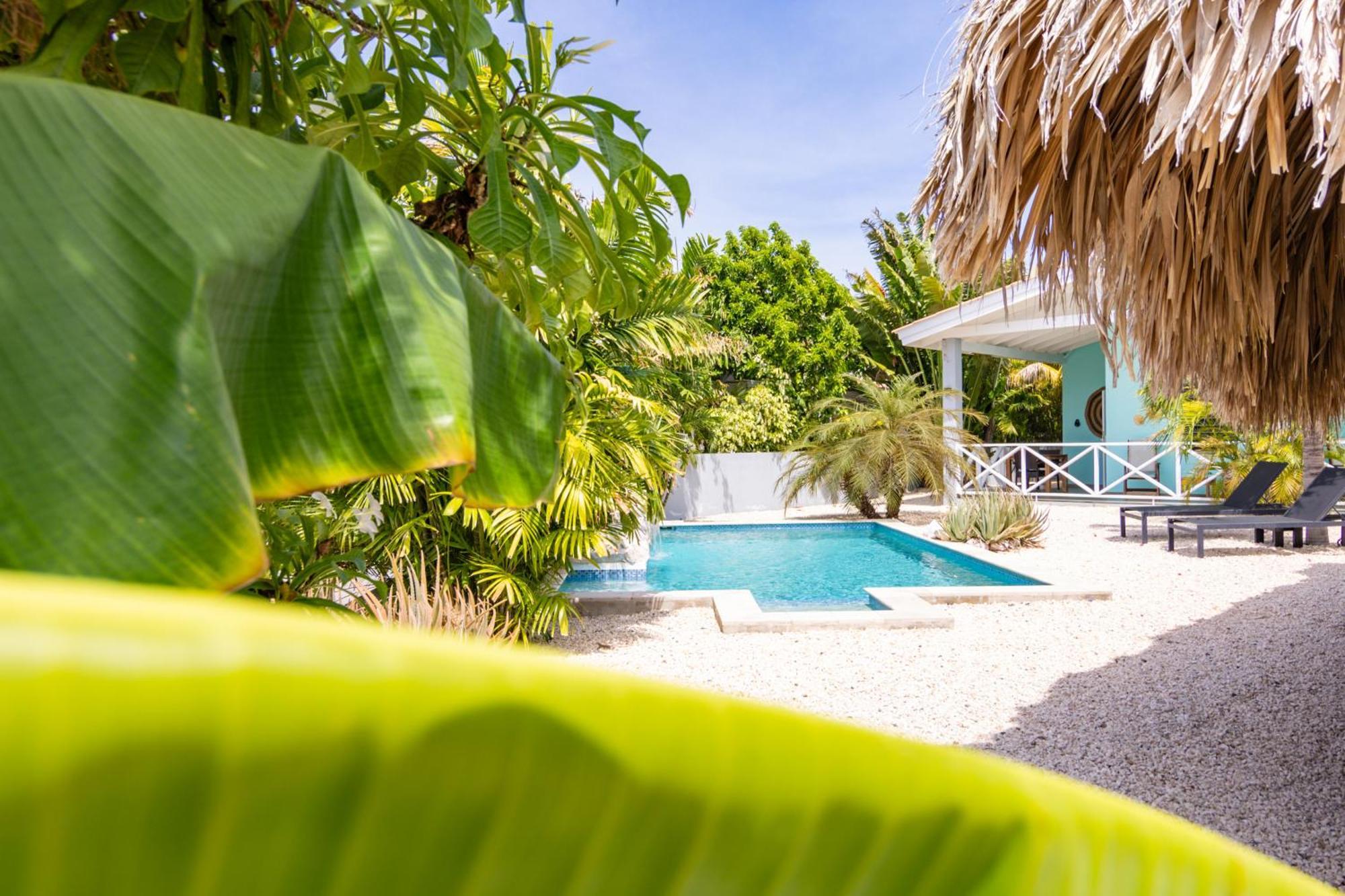 Paradise Apartments - Curacao Fontein Exteriér fotografie